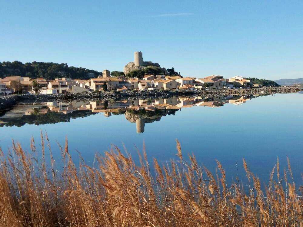 COLLECTIF. Observation des oiseaux au lac Saint-Pierre (Guide des sites)  (L')