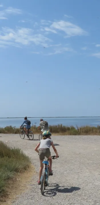 Etang de Thau en famille à vélo