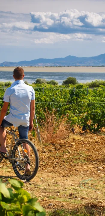 Choisir son parcours