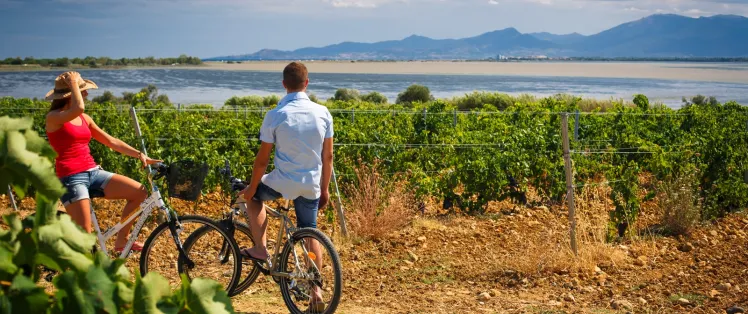 Choisir son parcours